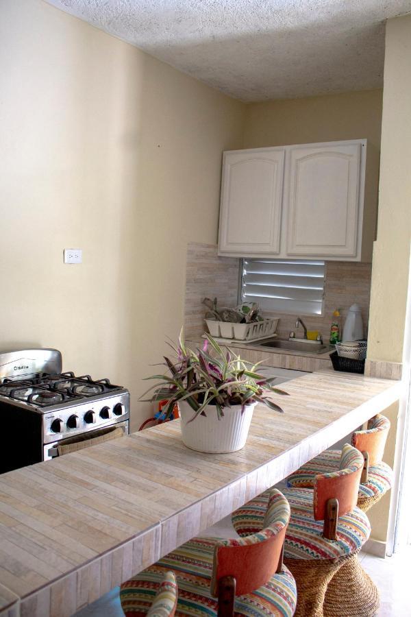 Complejo Villa Las Palmeras Piscina, Billar, Jardin, Bbq @Drvacationsrental Samaná Exterior foto